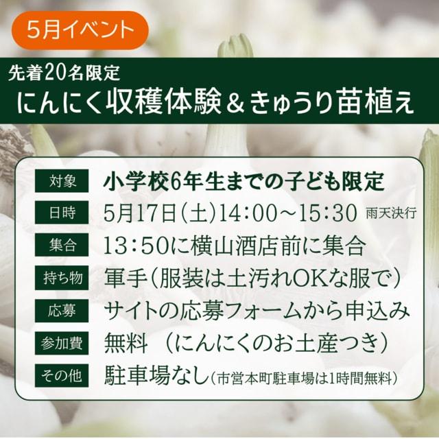 熊谷新にんにく収穫＆きゅうり苗植え体験