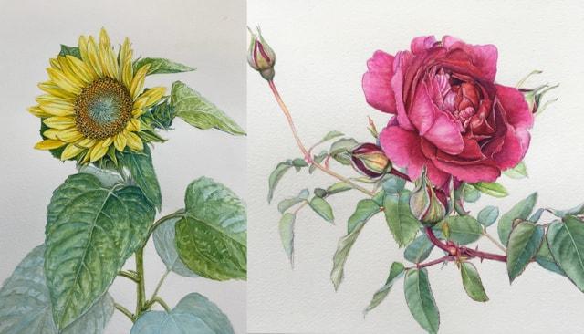 植物画 ｢花回廊の植物たち｣
