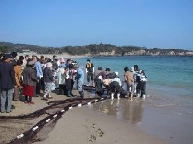 相差地曳網体験