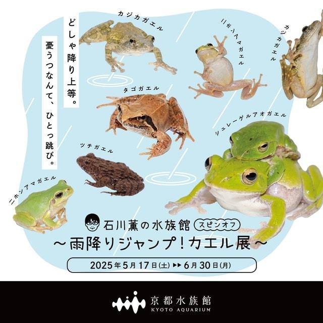 石川薫の水族館 スピンオフ～雨降りジャンプ！カエル展～