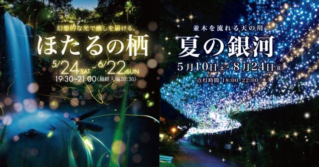 ほたるの栖 2025
