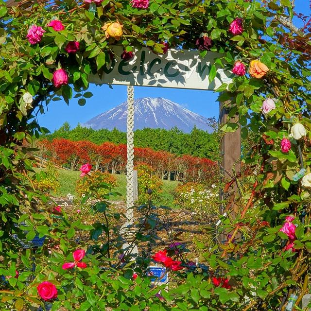 御殿場ばら祭り