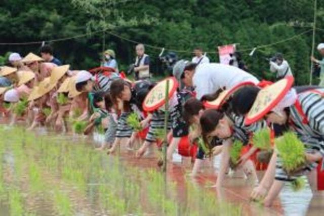 田染荘御田植祭