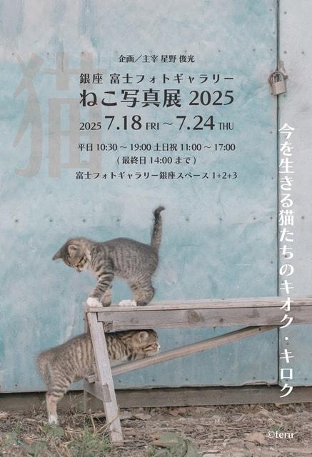 銀座 富士フォトギャラリーねこ写真展2025
