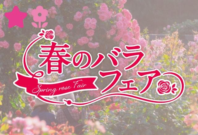 春のバラフェア2025