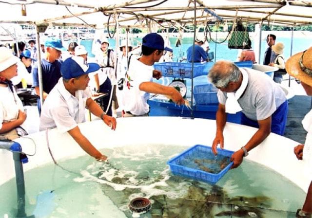須佐男命いか直売市