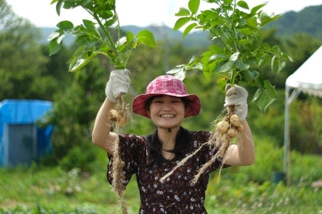 なべくら高原で野菜収穫&ズッキーニボート作り