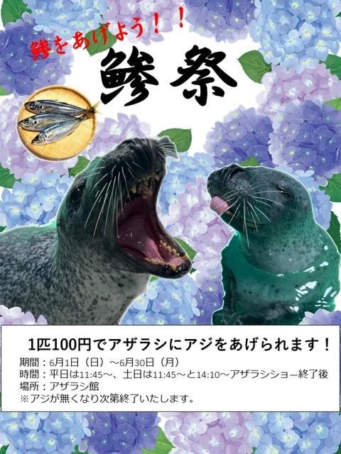 今年も【鰺祭】行います！