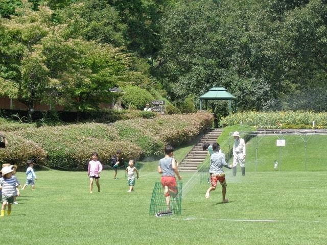 広島市植物公園 サマーフェア2025