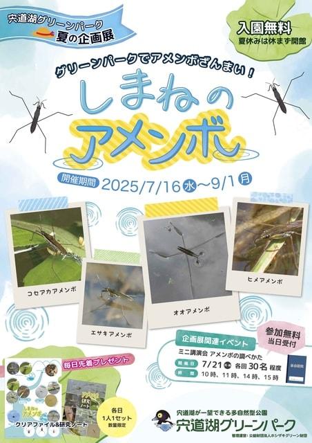 宍道湖グリーンパーク夏の企画展しまねのアメンボ