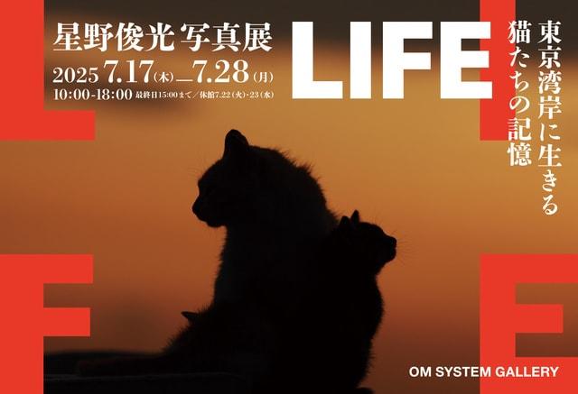 LIFE ～東京湾岸に生きる猫たちの記憶～　星野俊光写真展