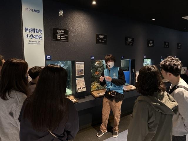京都大学白浜水族館　研究者と飼育係のこだわり解説ツアー