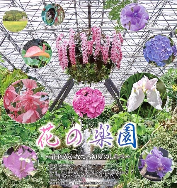 花の楽園