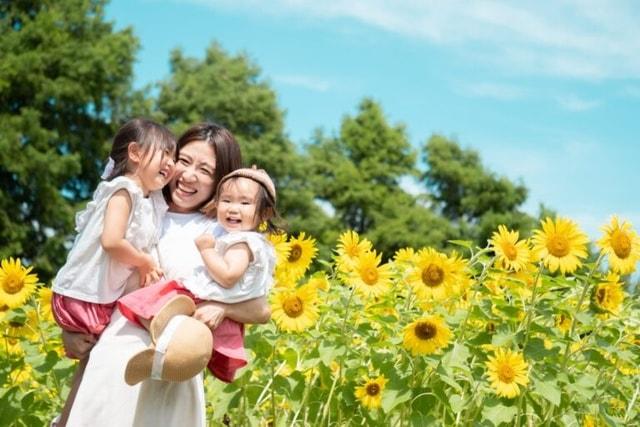【花・見ごろ】滋賀農業公園ブルーメの丘　ひまわり