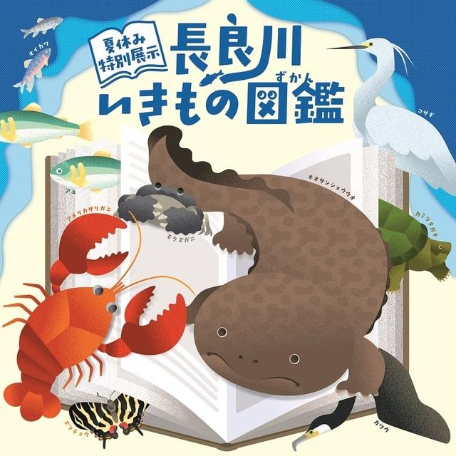 特別展示「長良川いきもの図鑑」