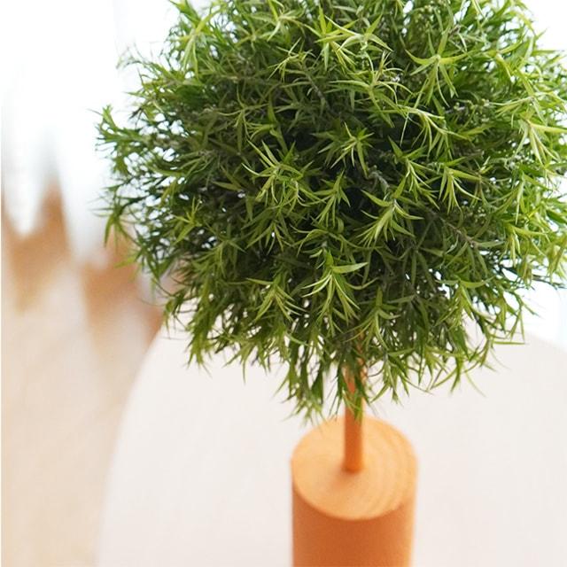 夏休み KIDSフラワー教室「植物で作る太陽のオブジェ」