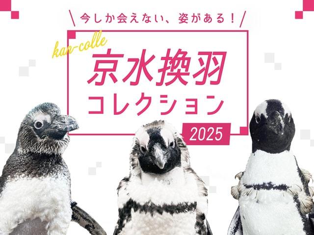 京水換羽コレクション2025