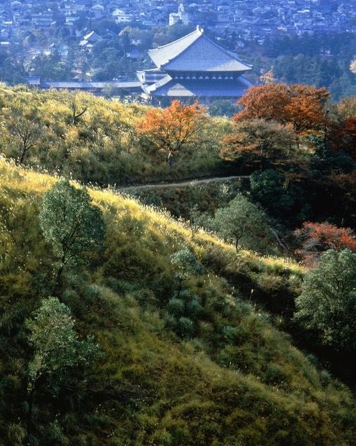 生誕120年 入江泰吉自選「奈良大和路春夏秋冬」