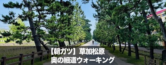 朝ガツ　草加松原　奥の細道ウォーキング