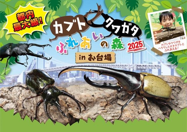 カブト・クワガタ ふれあいの森 in お台場 2025