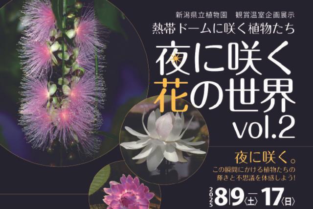 企画展示「～熱帯ドームに咲く植物たち～夜に咲く花の世界」