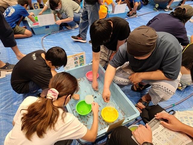伊吹山杯金魚すくい選手権大会in米原