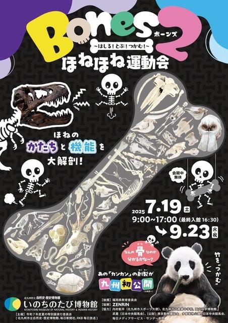 夏の特別展「Bones２　ほねほね運動会　～はしる！とぶ！つかむ！～」