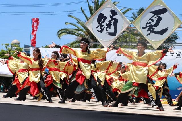 第24回　踊夏祭