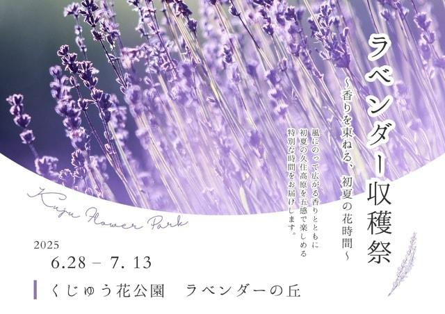 ラベンダー収穫祭 〜香りを束ねる、初夏の花時間〜