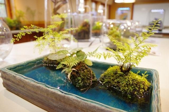 ふなばしアンデルセン公園「室内で楽しめるインドアガーデン」