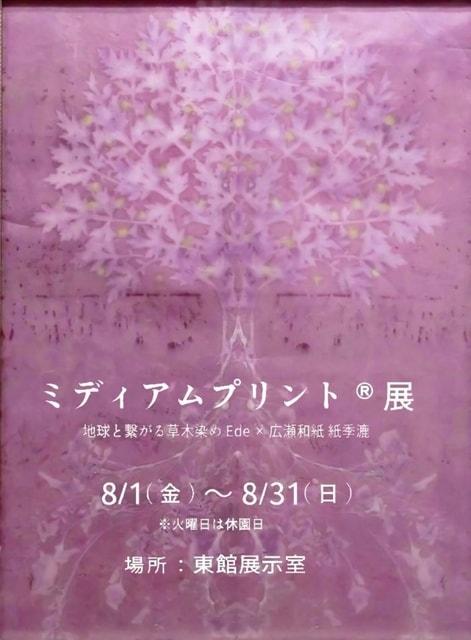 ミディアムプリント(R)展