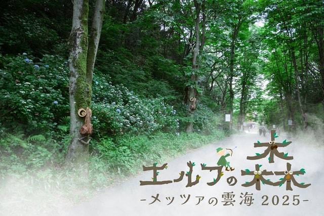 エルフの森 －メッツァの雲海 2025－