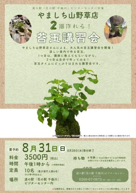 苔玉講習会