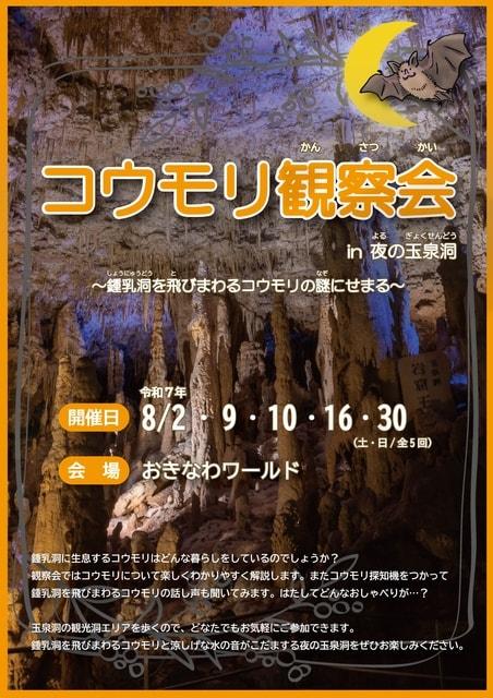 コウモリ観察会in夜の玉泉洞