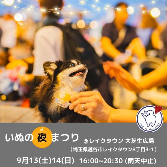 いぬの夜まつり