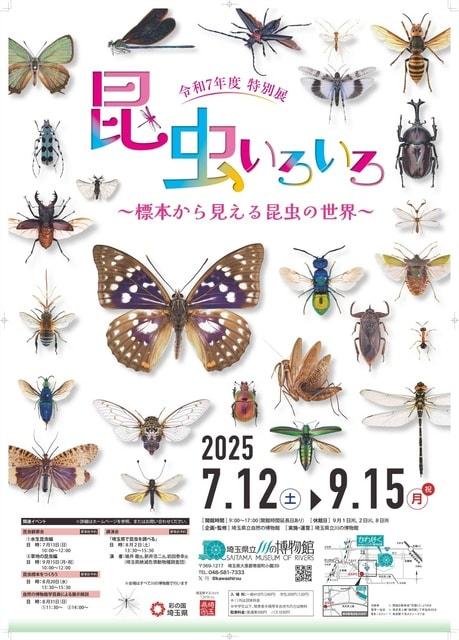 特別展「昆虫いろいろ～標本から見える昆虫の世界～」