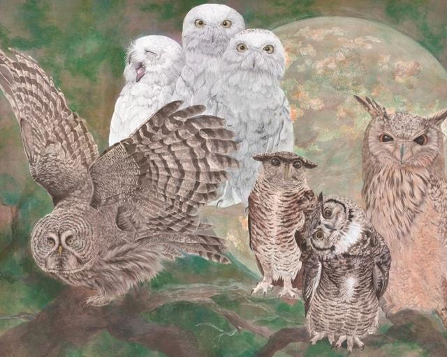 第80回福岡県美術展覧会展（県展）