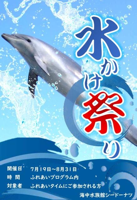 水かけ祭り