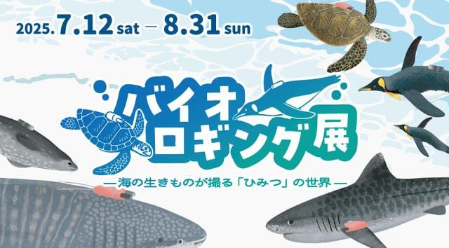 企画展「バイオロギング展－海の生きものが撮る秘密の世界－」