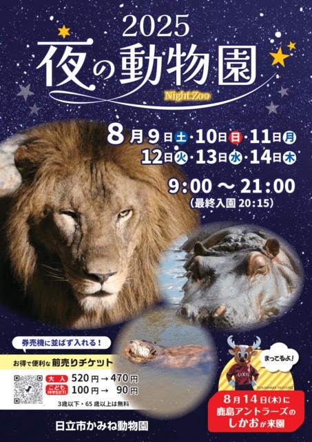 夜の動物園2025