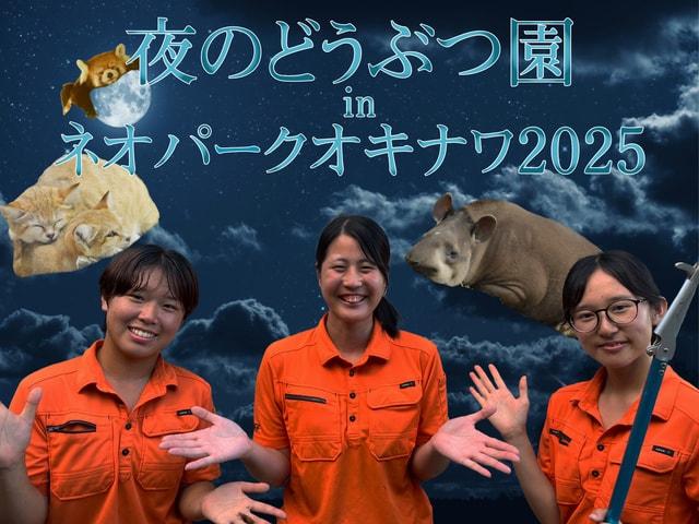 夜のどうぶつ園inネオパークオキナワ2025