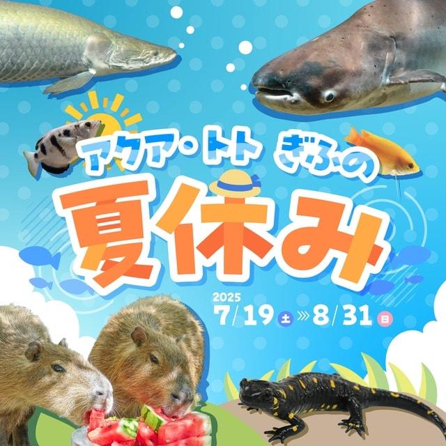アクア・トト ぎふの夏休み