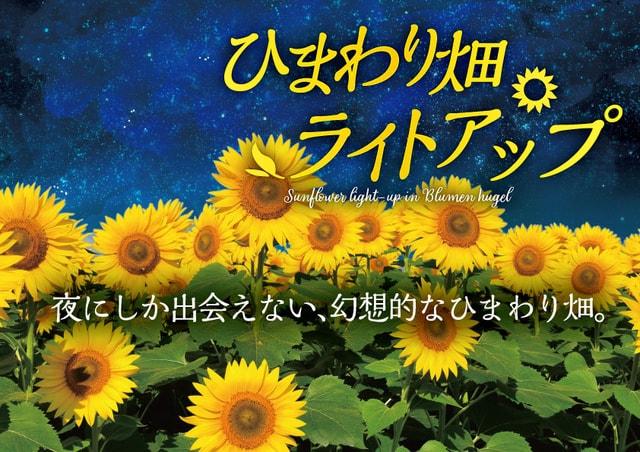 ひまわり畑ライトアップ