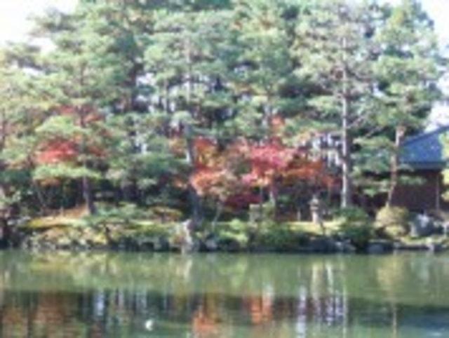 【紅葉・見ごろ】清水園