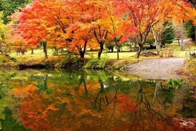 【紅葉・見ごろ】伊奈ヶ湖