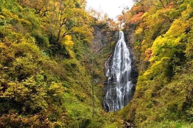 【紅葉・見ごろ】くろくまの滝