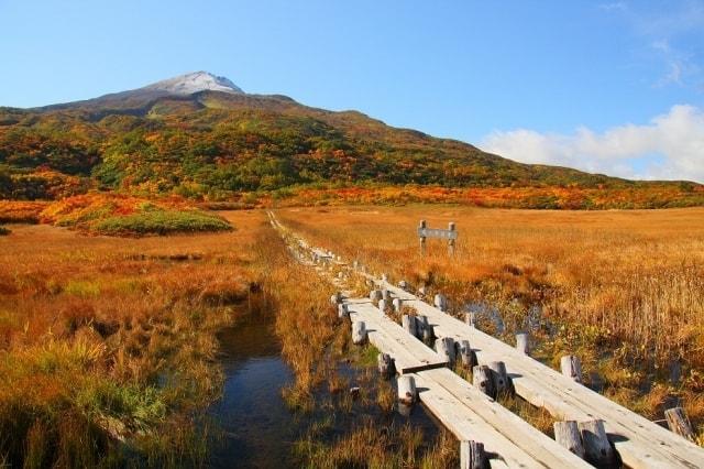 【紅葉・見ごろ】鳥海山