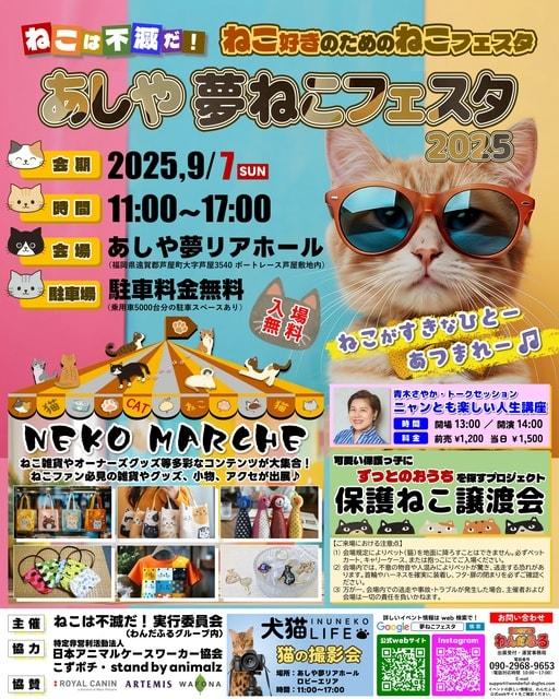 あしや夢ねこフェスタ2025