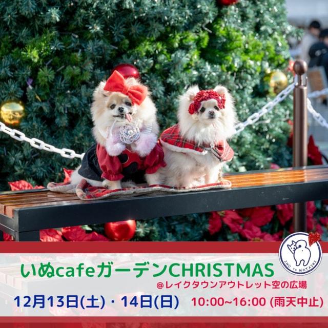 いぬcafeガーデンChristmas