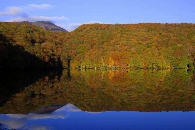 【紅葉・見ごろ】蔦七沼